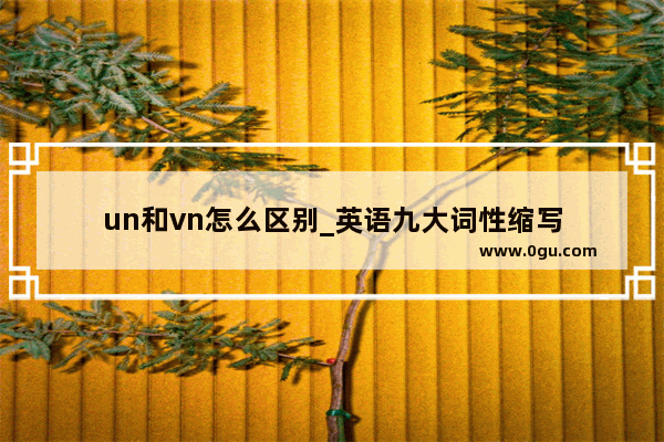 un和vn怎么区别_英语九大词性缩写