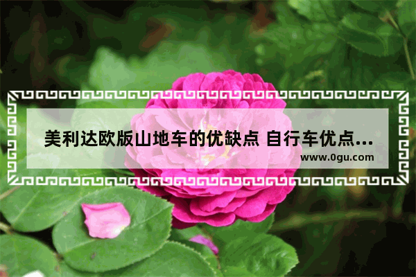 美利达欧版山地车的优缺点 自行车优点的英语作文