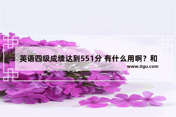英语四级成绩达到551分 有什么用啊？和那些刚过的有什么区别_请问安徽理工大学保研的具体情况