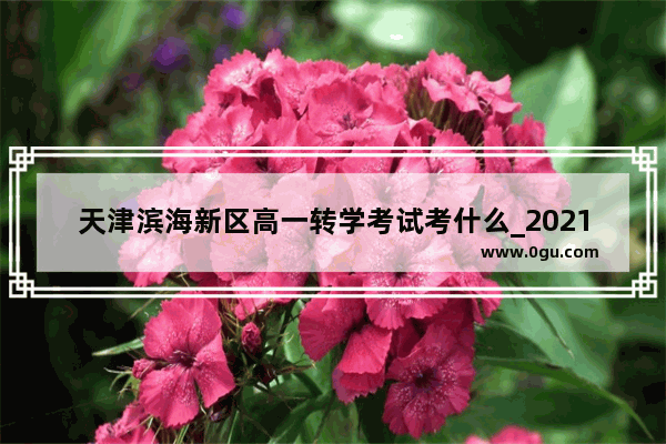 天津滨海新区高一转学考试考什么_2021年天津大港中考人数
