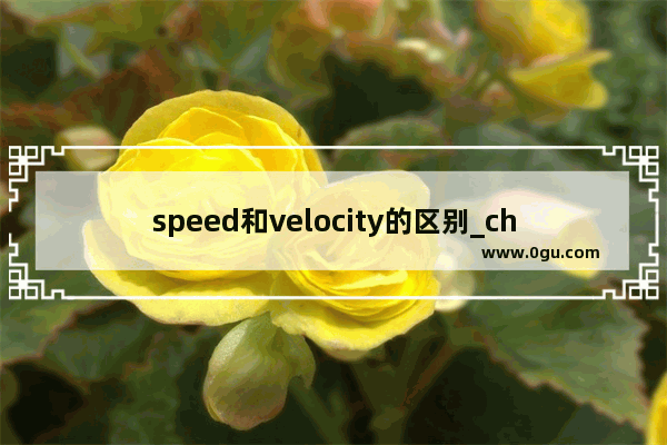 speed和velocity的区别_chinglish产生的原因