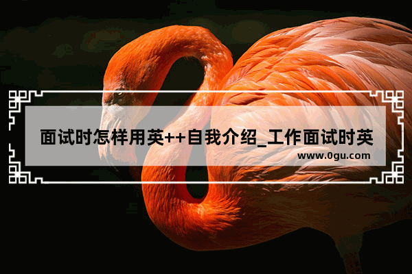 面试时怎样用英++自我介绍_工作面试时英文自我介绍怎么写
