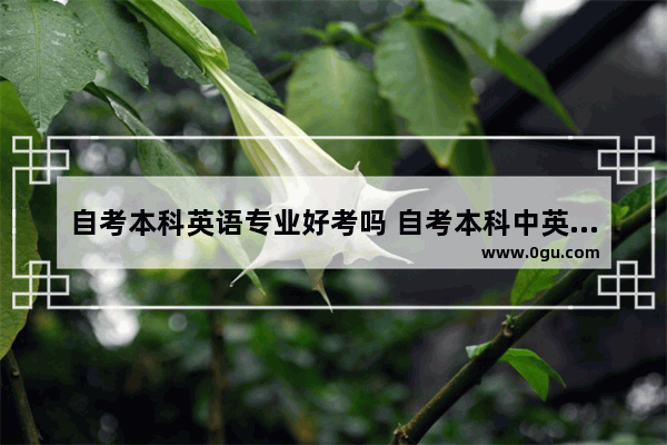自考本科英语专业好考吗 自考本科中英语考试难吗