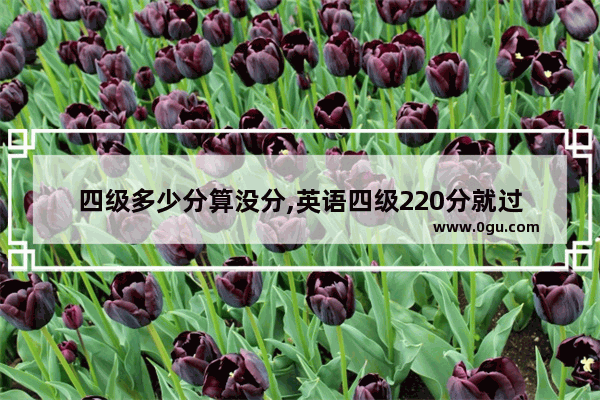 四级多少分算没分,英语四级220分就过