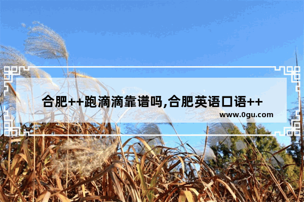 合肥++跑滴滴靠谱吗,合肥英语口语++