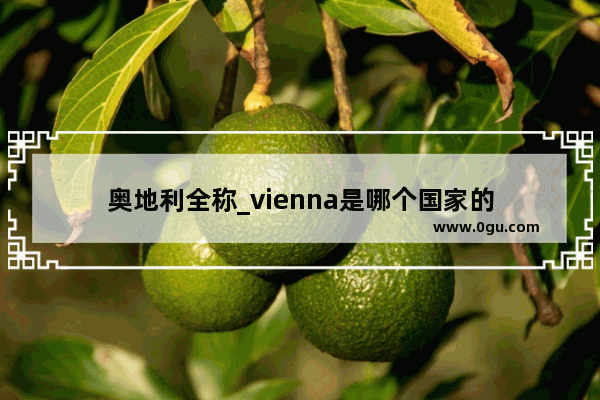 奥地利全称_vienna是哪个国家的