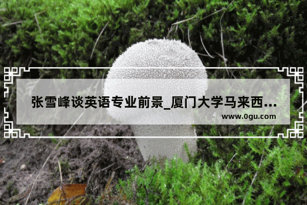 张雪峰谈英语专业前景_厦门大学马来西亚分校与厦门大学有什么区别?毕业证是否一样