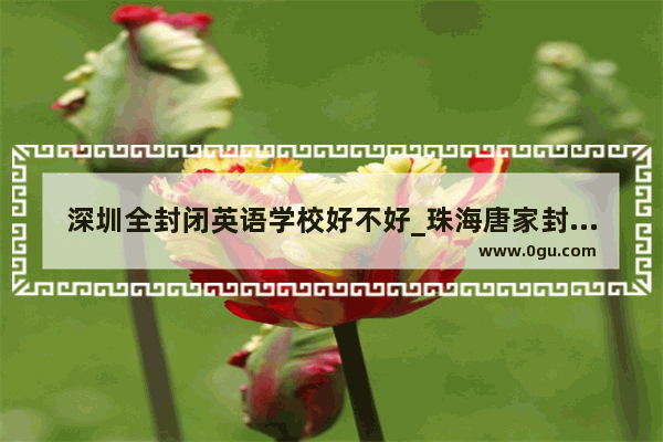 深圳全封闭英语学校好不好_珠海唐家封闭式语言培训学校求推荐