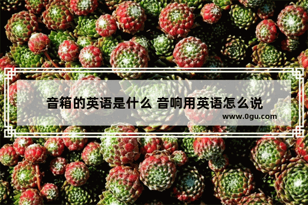 音箱的英语是什么 音响用英语怎么说