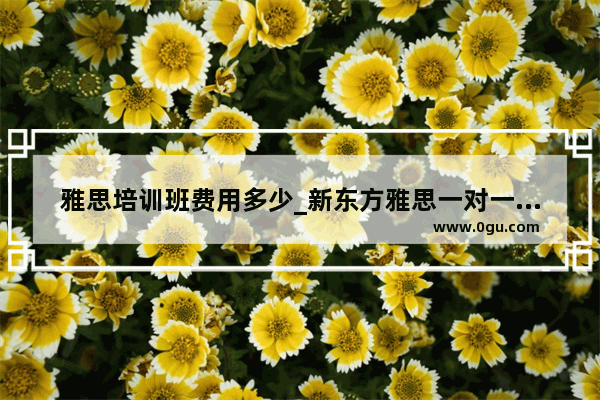 雅思培训班费用多少_新东方雅思一对一培训费用是多少