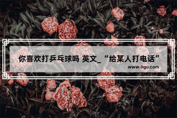 你喜欢打乒乓球吗 英文_“给某人打电话”用英语怎么表达 要3种表达方式