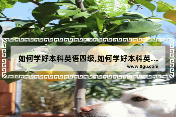 如何学好本科英语四级,如何学好本科英语四级