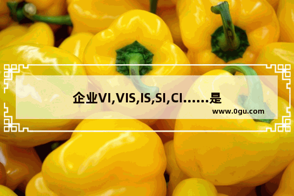 企业VI,VIS,IS,SI,CI……是什么,理念用英语怎么说