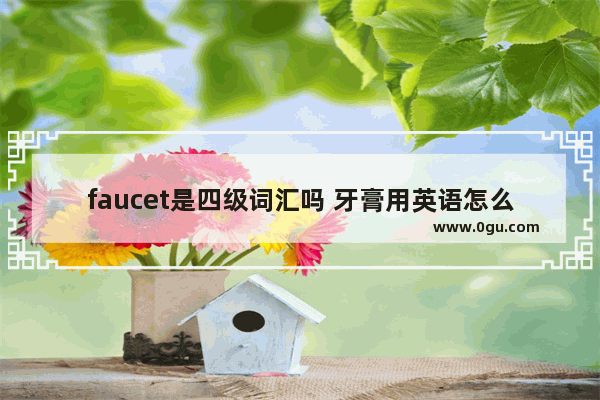 faucet是四级词汇吗 牙膏用英语怎么说