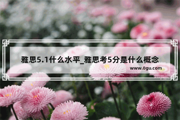 雅思5.1什么水平_雅思考5分是什么概念