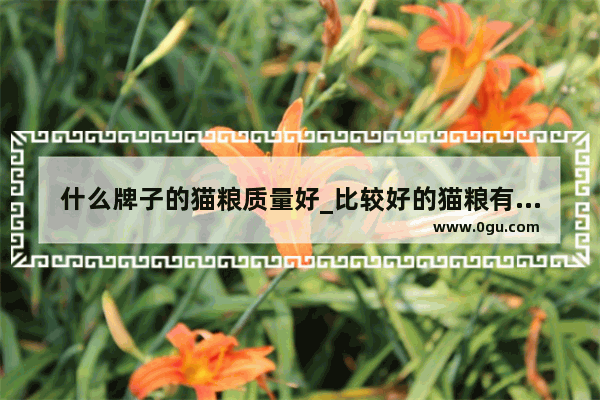 什么牌子的猫粮质量好_比较好的猫粮有哪些
