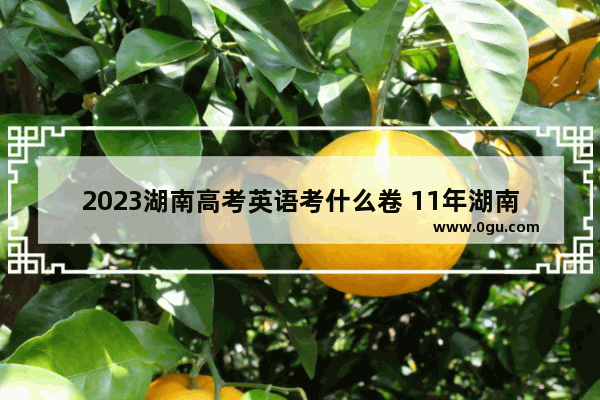 2023湖南高考英语考什么卷 11年湖南英语考试试卷