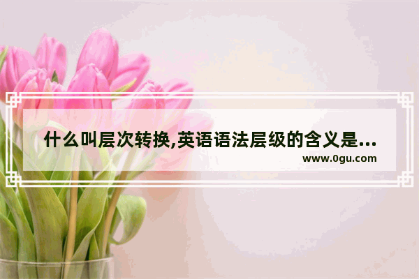 什么叫层次转换,英语语法层级的含义是什么