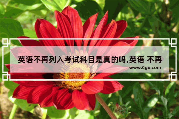 英语不再列入考试科目是真的吗,英语 不再