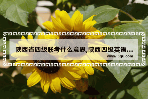陕西省四级联考什么意思,陕西四级英语考试