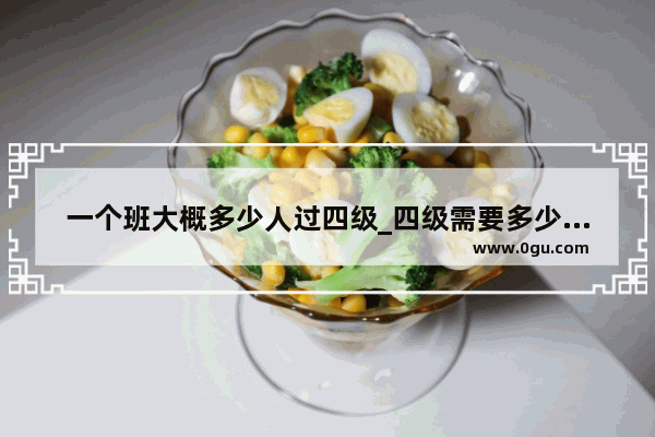 一个班大概多少人过四级_四级需要多少词汇量