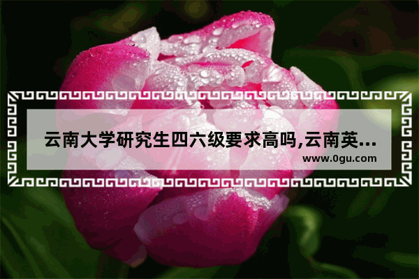 云南大学研究生四六级要求高吗,云南英语六级考第几套