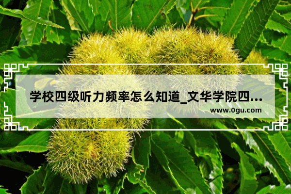 学校四级听力频率怎么知道_文华学院四级听力频率是多少