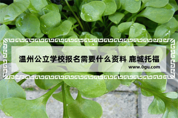 温州公立学校报名需要什么资料 鹿城托福