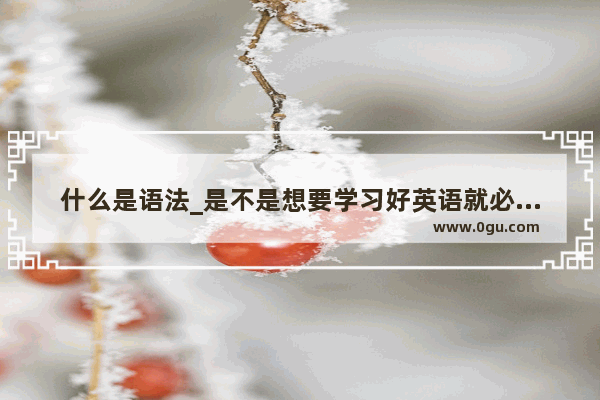什么是语法_是不是想要学习好英语就必须要学好语法