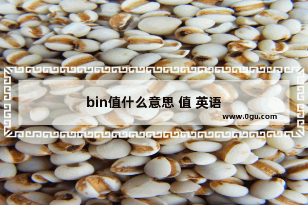 bin值什么意思 值 英语