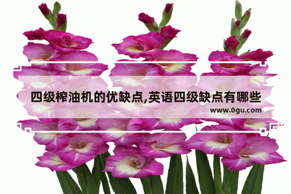 四级榨油机的优缺点,英语四级缺点有哪些