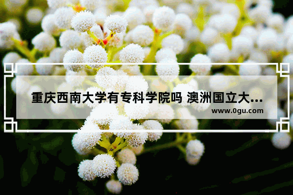 重庆西南大学有专科学院吗 澳洲国立大学英语语法专业