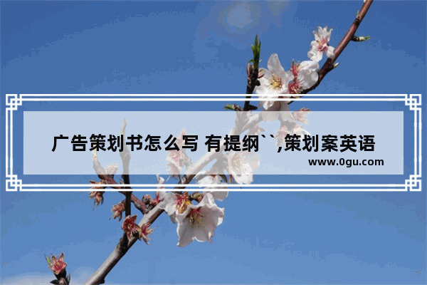 广告策划书怎么写 有提纲``,策划案英语六级作文