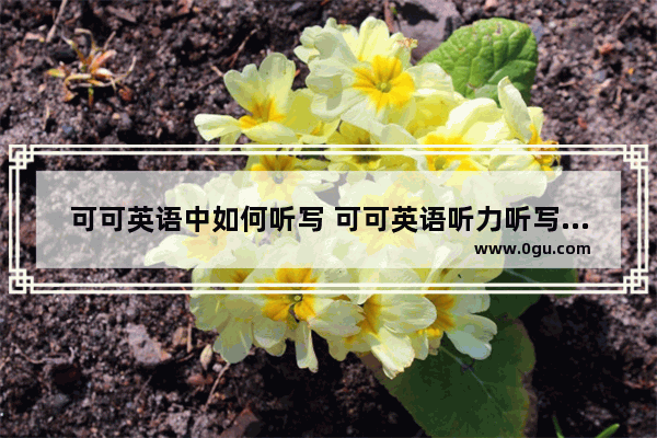 可可英语中如何听写 可可英语听力听写原文
