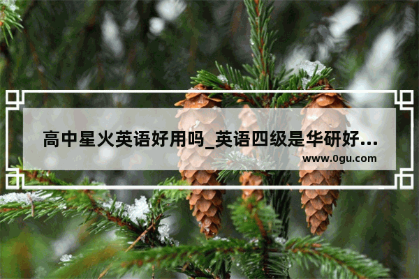 高中星火英语好用吗_英语四级是华研好还是星火好