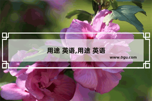 用途 英语,用途 英语