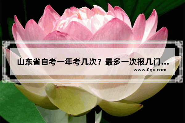 山东省自考一年考几次？最多一次报几门？自考可以选择报考哪个学校吗,山东省自考英语考试范围