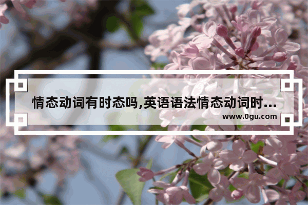 情态动词有时态吗,英语语法情态动词时态变化