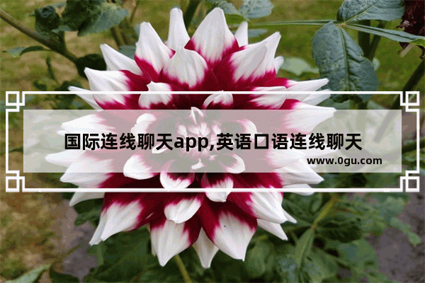 国际连线聊天app,英语口语连线聊天