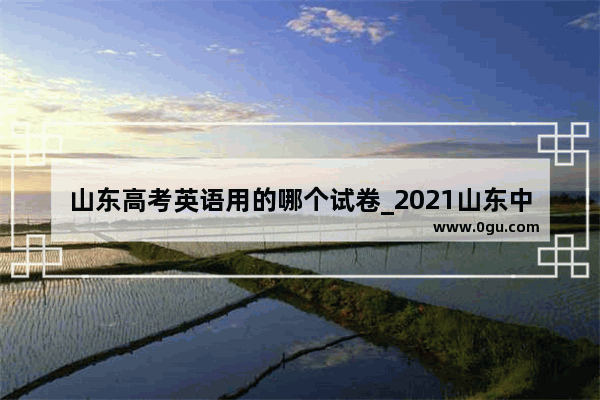 山东高考英语用的哪个试卷_2021山东中考英语题型
