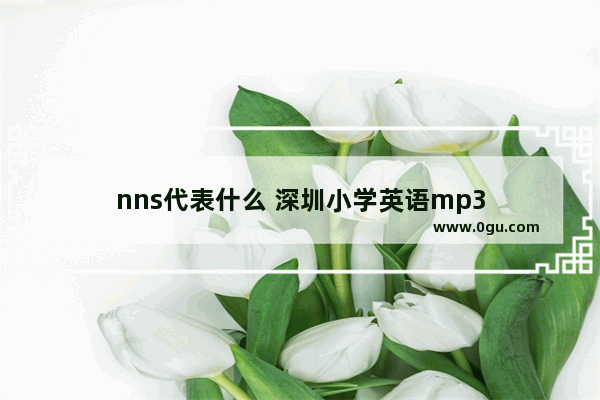 nns代表什么 深圳小学英语mp3