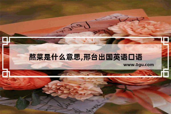 熬菜是什么意思,邢台出国英语口语