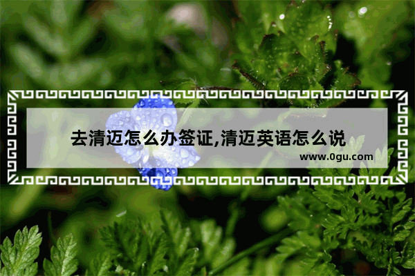 去清迈怎么办签证,清迈英语怎么说