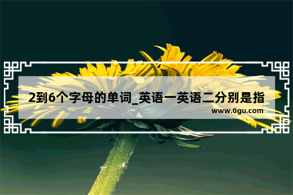 2到6个字母的单词_英语一英语二分别是指什么（越详细越好）