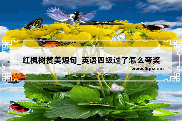 红枫树赞美短句_英语四级过了怎么夸奖