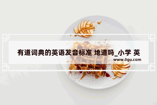 有道词典的英语发音标准 地道吗_小学 英语 语音课 评课