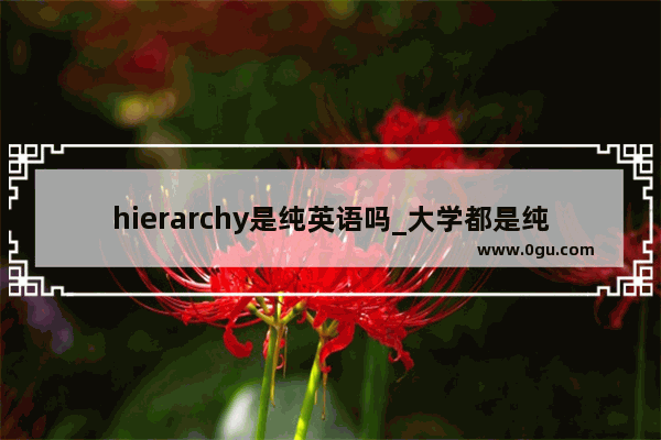 hierarchy是纯英语吗_大学都是纯英文的吗
