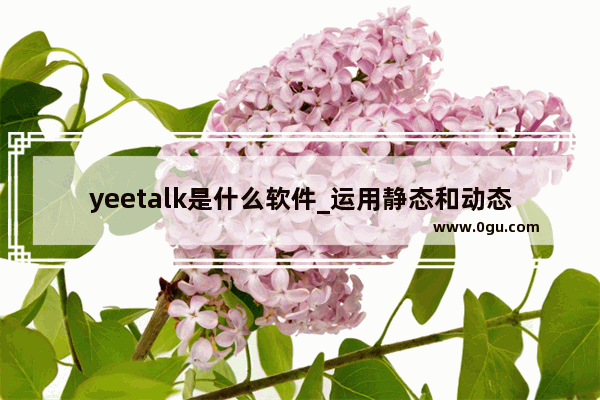 yeetalk是什么软件_运用静态和动态描写家乡的一处美丽的地方范文。