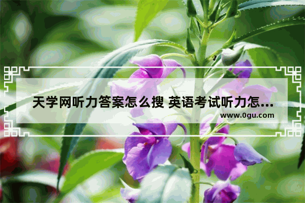 天学网听力答案怎么搜 英语考试听力怎么找答案