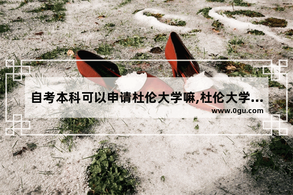 自考本科可以申请杜伦大学嘛,杜伦大学雅思要求